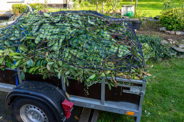 Best Yard Waste Removal  in New Cumberland, WV